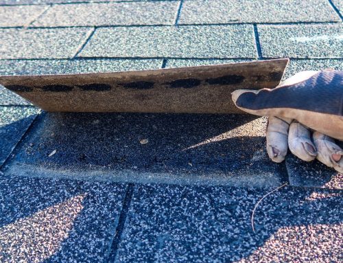 Why Bay Area Homes Need Dry Season Roof Inspections